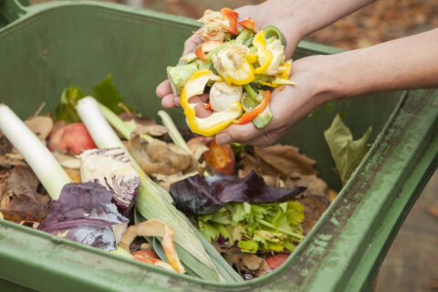 No Curbside Composting? Here’s What To Do