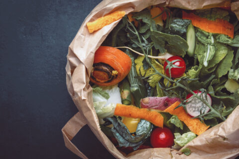 Compost Confidence: Your Guide to an “Ick” Free Lifestyle
