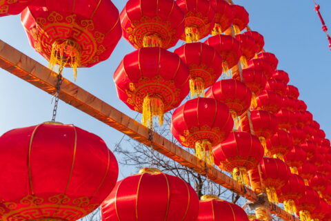 Lunar New Year: Celebrating Renewal and Discovery