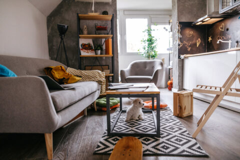 Apartment Composting Made Easy: Student Tips for Waste-Free Living